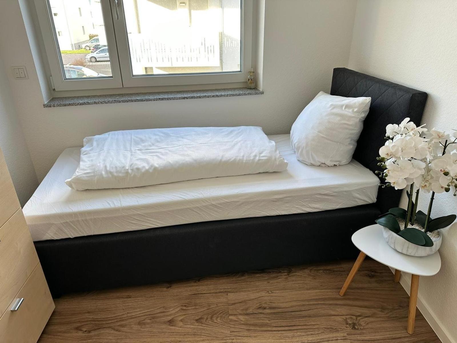 Grosse Cozy 4-Zi-Whg Mit Balkon Naehe Europa Park Und Rulantica Lägenhet Lahr  Exteriör bild